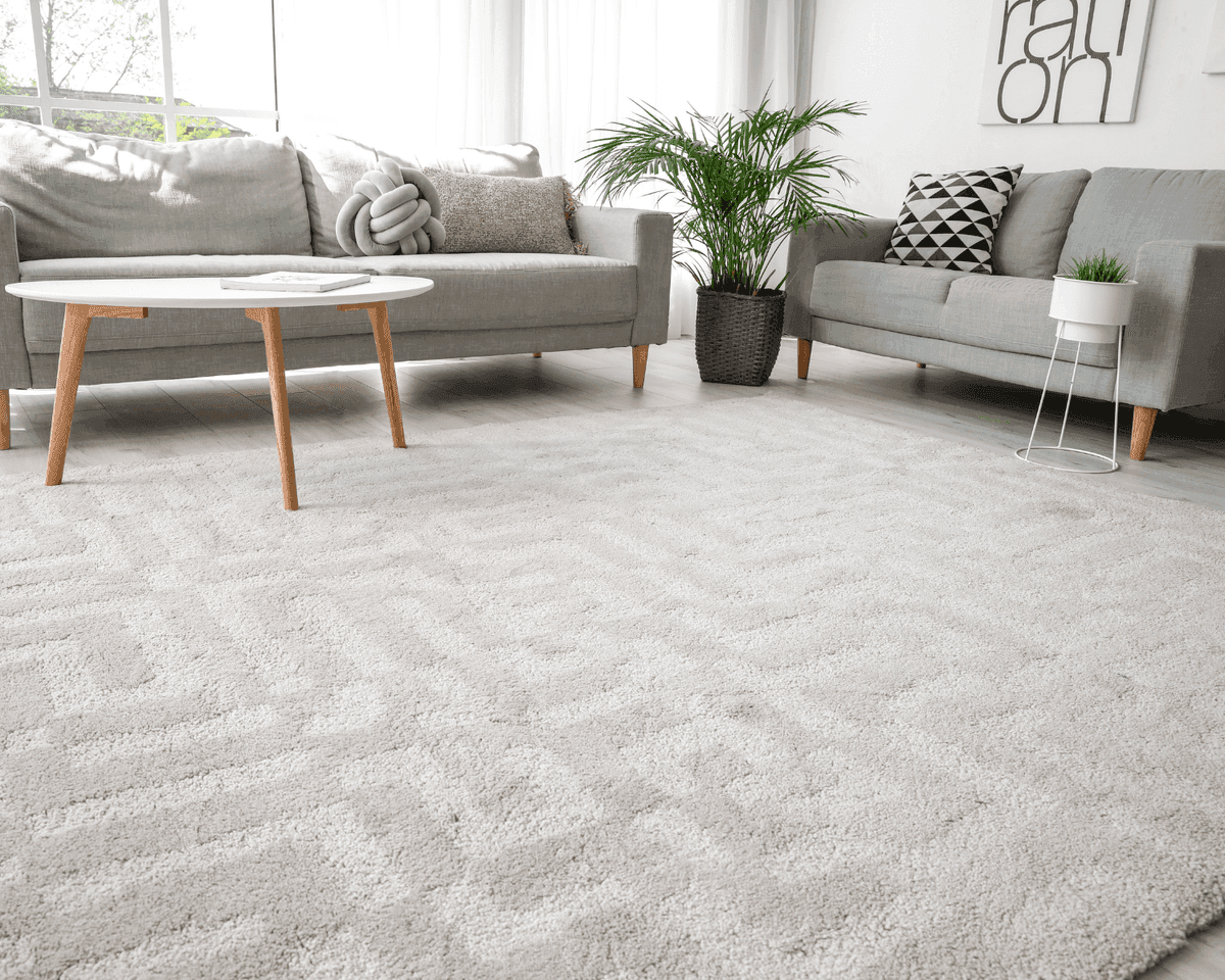 Area Rug Cleaning